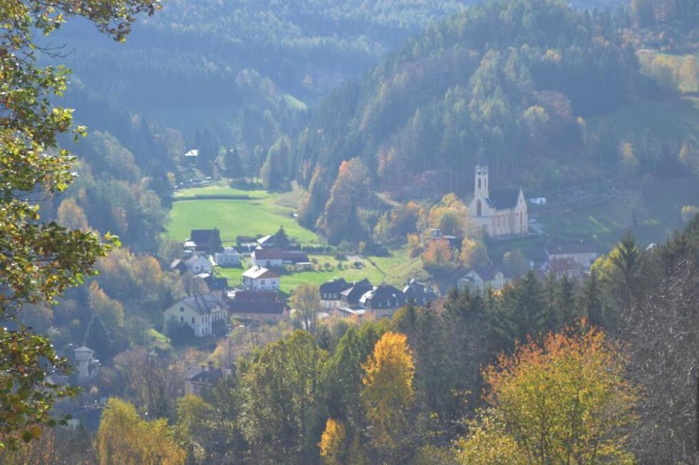 Gemuetliche Ferienwohnung - Prein An Der Rax Exterior foto